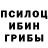 Псилоцибиновые грибы Magic Shrooms Dan Manaig